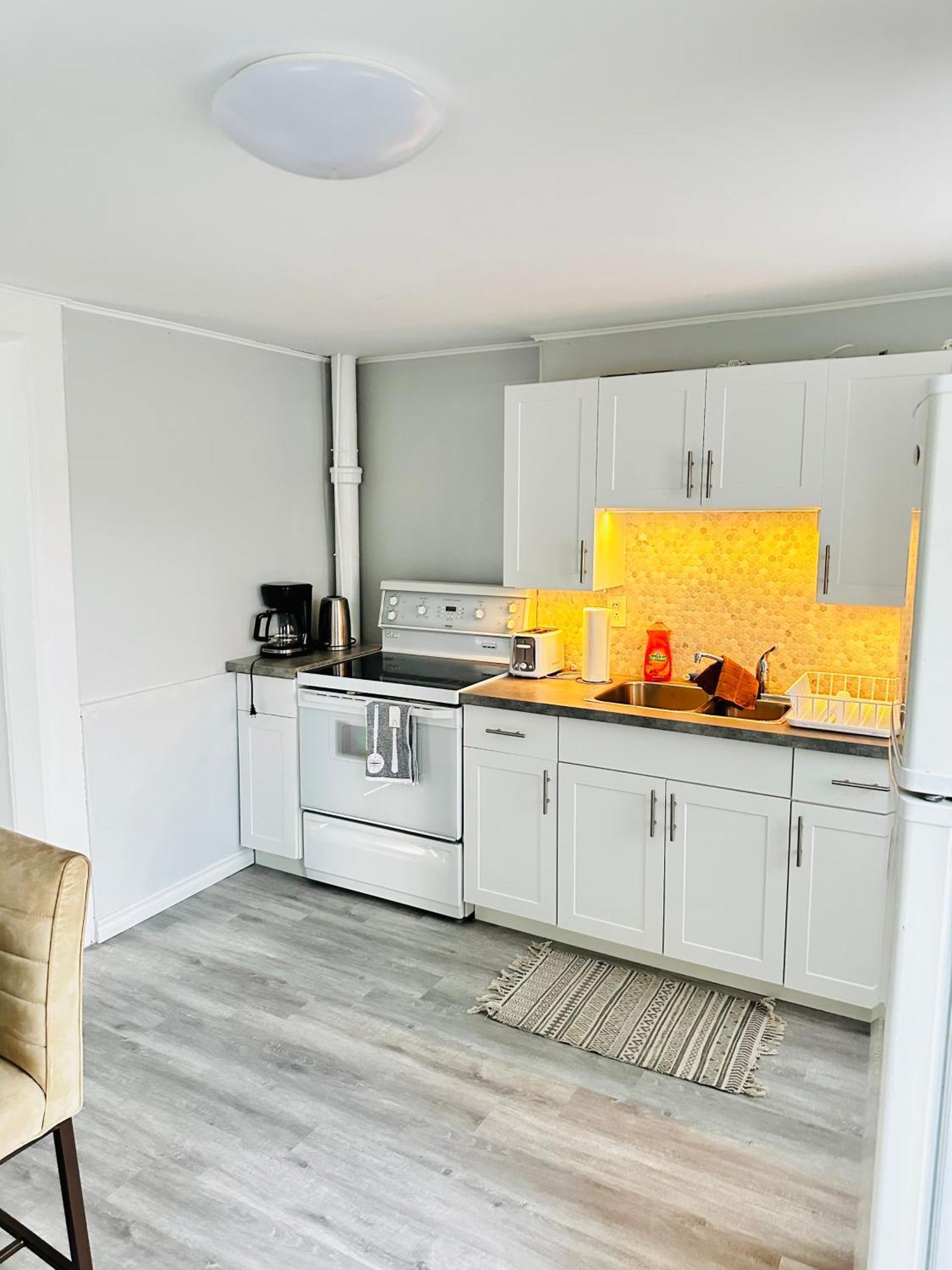 Cozy 2Br House Near Centre With Patio, Bbq, Backyard, And Netflix Apartment Peterborough Luaran gambar